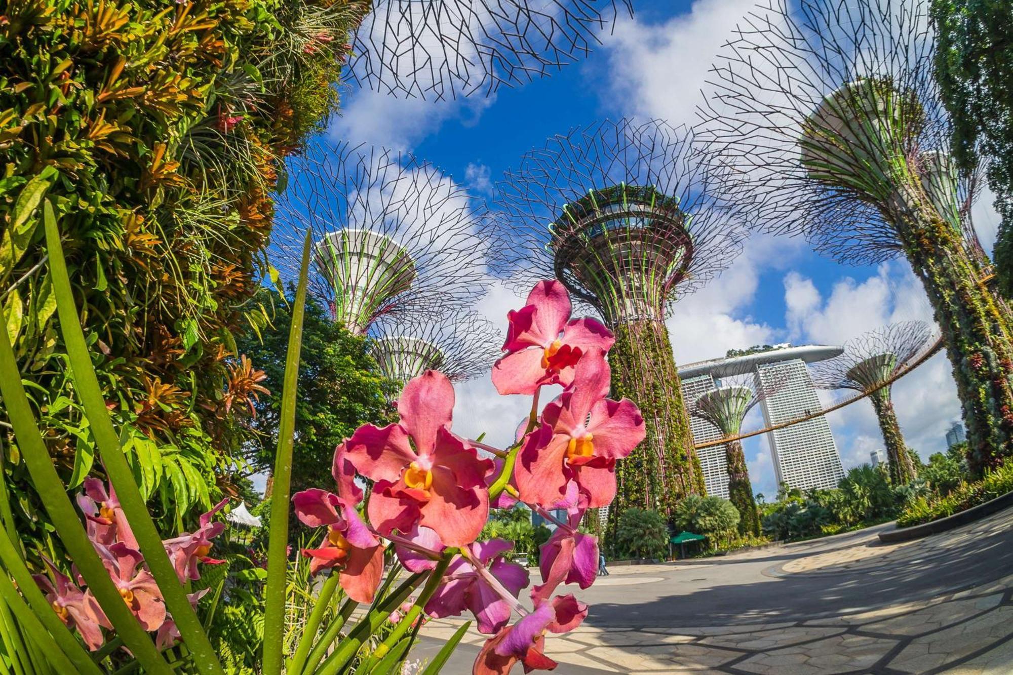 Grand Hyatt Singapore Exterior foto